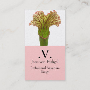 Carte De Visite Sarracenia Plante Pitcher