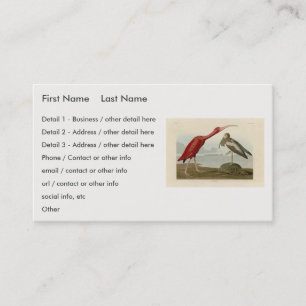 Carte De Visite Scarlet Ibis - de Audubon's Birds of America
