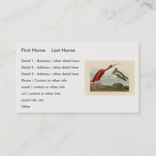 Carte De Visite Scarlet Ibis - de Audubon's Birds of America (Devant)