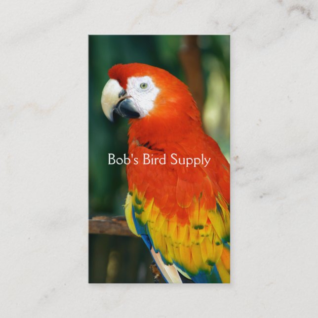 Carte De Visite Scarlet Macaw (Devant)