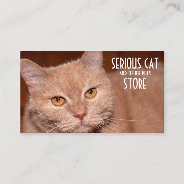 Carte De Visite Sérieux chat et autres animaux personnalisables (Devant)