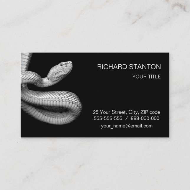 Carte De Visite Serpent (Devant)