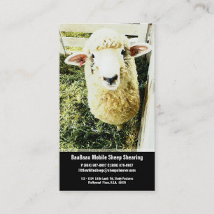 Carte De Visite Service de ferme ou de cisaillement de moutons