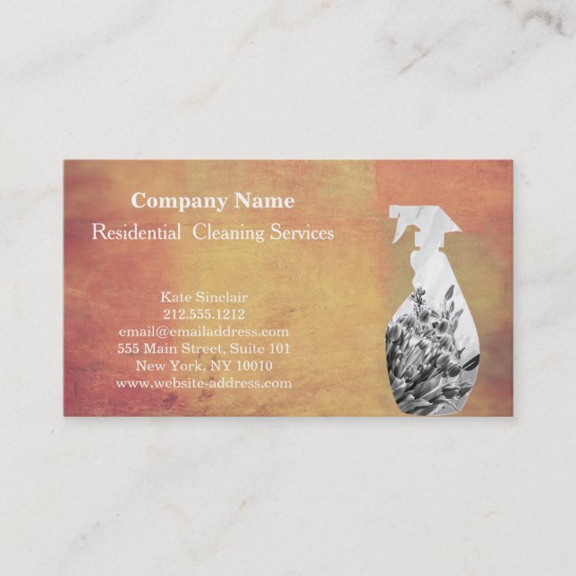 Carte De Visite Service de nettoyage professionnel moderne Spray b (Devant)
