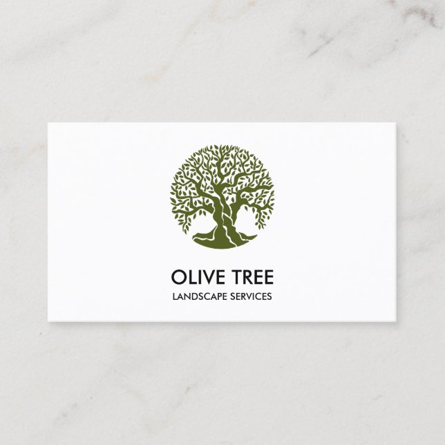 Carte De Visite service paysagiste professionnel et soin de pelous (Devant)