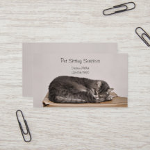 Services de gardiennage d'animaux Toilettage de ch