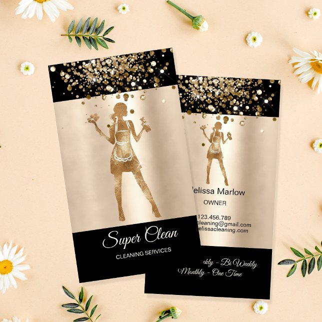 Carte De Visite Services de nettoyage professionnels de la maison  (Créateur téléchargé)