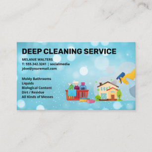 Carte De Visite Services de nettoyage   Spray   Nettoyeur de domes