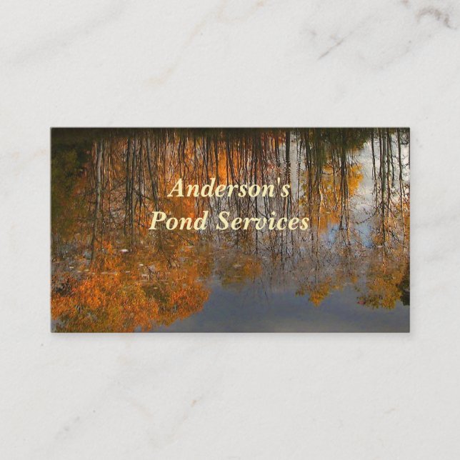 Carte De Visite Services Pond (Devant)