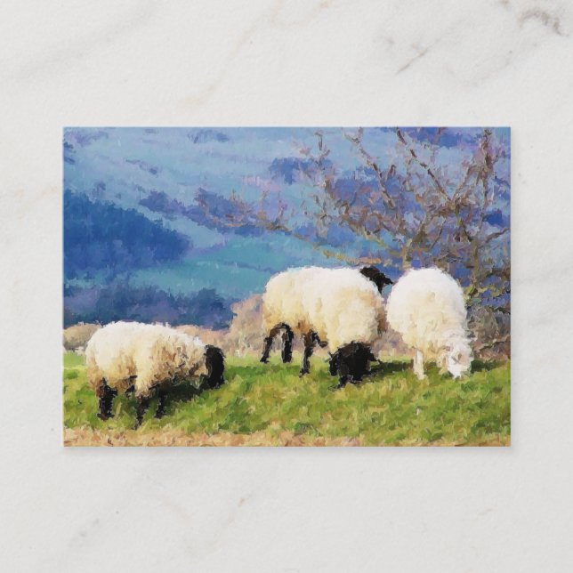 CARTE DE VISITE SHEEP (Devant)