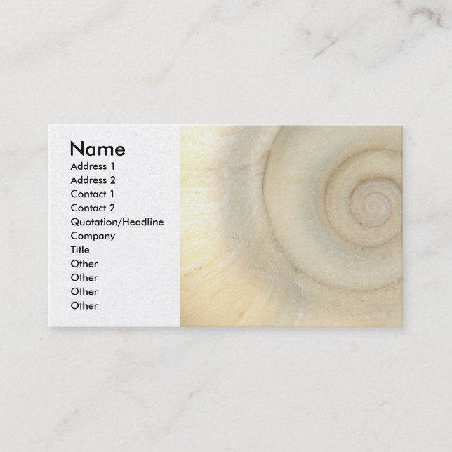 Carte De Visite Shell - conchyliologie - spirale blanche (Devant)