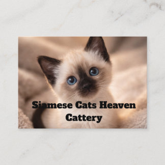 Carte De Visite Siamese Cats Heaven Cattery Customizable Business 