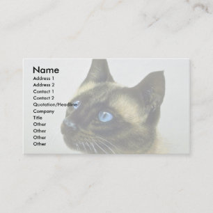 Carte De Visite Siamois (étude principale)