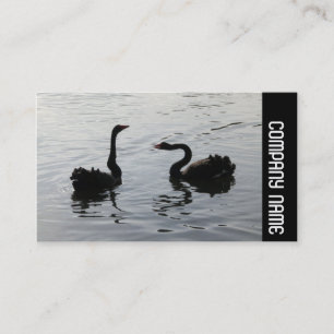 Carte De Visite Side Band - Black Swans Grey