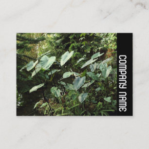 Carte De Visite Side Band - Jardins botaniques