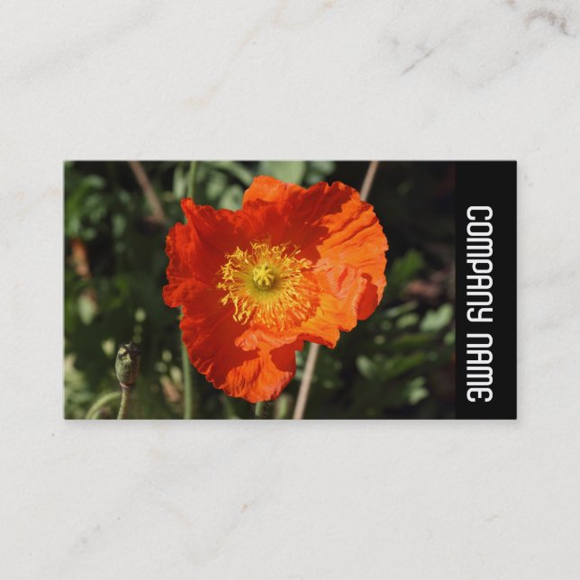 Carte De Visite Side Band - Poppy gallois (orange) (Devant)