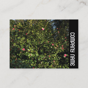 Carte De Visite Side Band - Red Camellia Bush