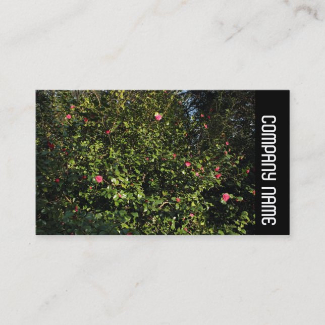 Carte De Visite Side Band - Red Camellia Bush (Devant)