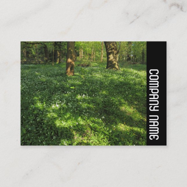 Carte De Visite Side Band - Spring in the Woods (Devant)