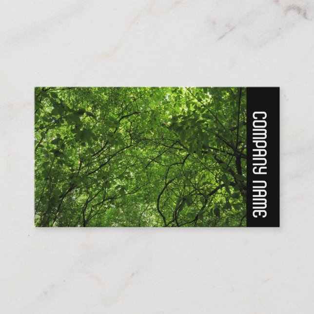 Carte De Visite Side Band - Woodland Canopy (Devant)
