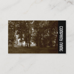 Carte De Visite Side Band - Woods, Bute Park Cardiff