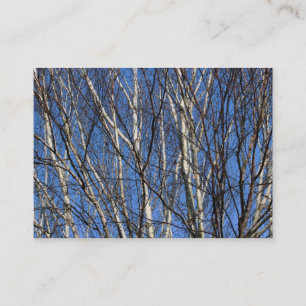 Carte De Visite Silver Birch Branches