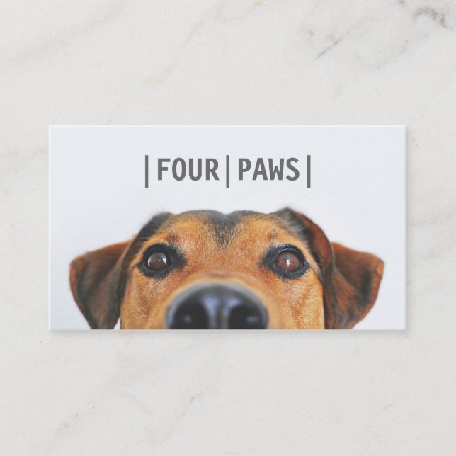 Carte De Visite Simple gris photo de animal de compagnie mignon ph (Devant)