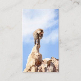 Carte De Visite Singe babouin au sommet d'une montagne