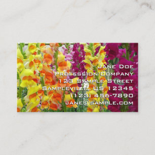 Carte De Visite Snapdragons colorés floraux