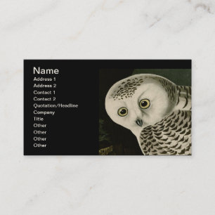 Carte De Visite Snowy Owl - Audubon Fine Birds Vintages Amérique