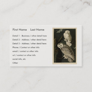 Carte De Visite Snowy Owl, John James Audubon's Birds of America
