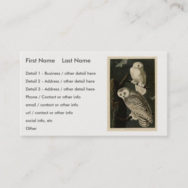 Carte De Visite Snowy Owl, John James Audubon's Birds of America (Devant)