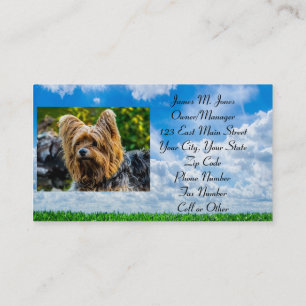 Carte De Visite Soin se reposant de local commercial de chien de