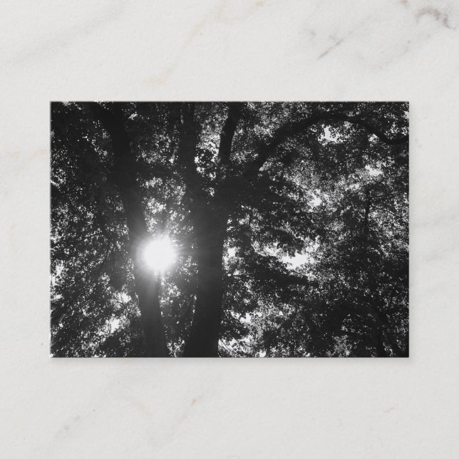 Carte De Visite Soleil brillant à travers les arbres B&W (Devant)