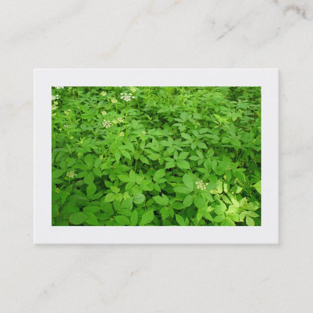 Carte De Visite Sous-bois, Mini photo (Devant)