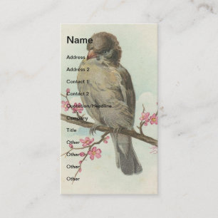 Carte De Visite Sparrow Vintage
