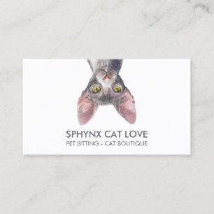 Carte De Visite Spécialiste des soins de peau de chat sans poils