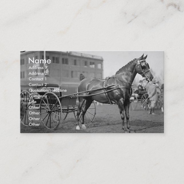 Carte De Visite Spectacle Cheval vintage (Devant)