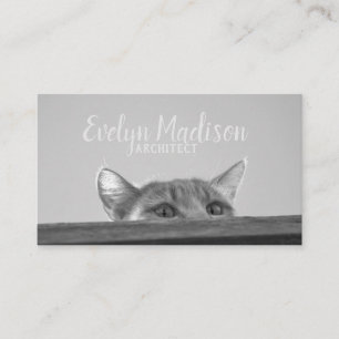 Carte De Visite Spy Cat