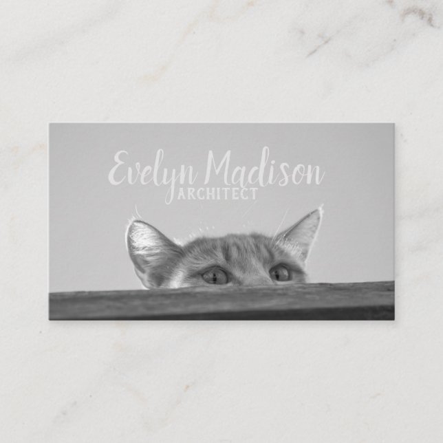 Carte De Visite Spy Cat (Devant)