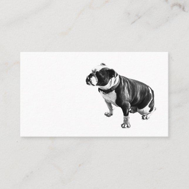 Carte De Visite Stable sans hâte (Devant)