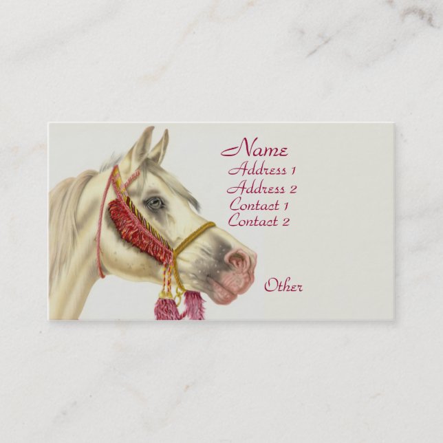 Carte De Visite Stallion arabe (Devant)