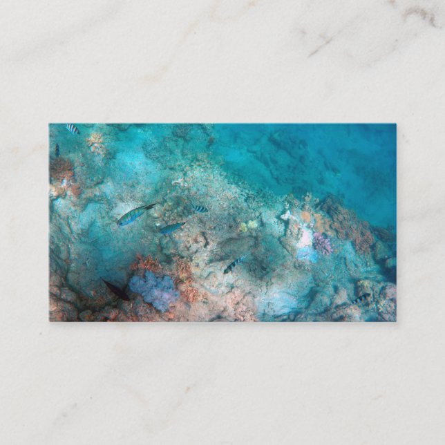 Carte de visite standard 3,5 pouces x 2,0 pouces (Devant)