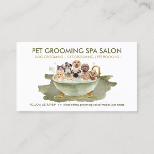 Carte De Visite Style Boho Grooming Animaux Spas Chats Chiens
