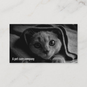 Carte De Visite SUPER CUTE Kitten Photo en noir et blanc