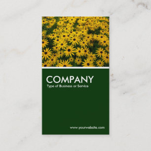 Carte De Visite Susans aux yeux noirs (Rudbeckia Hirta) - Vert fon