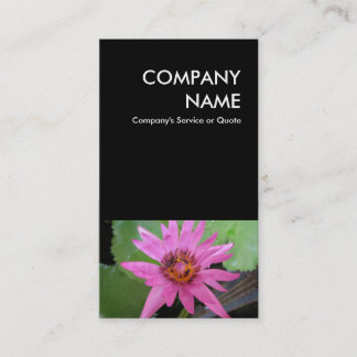 Carte De Visite sushi