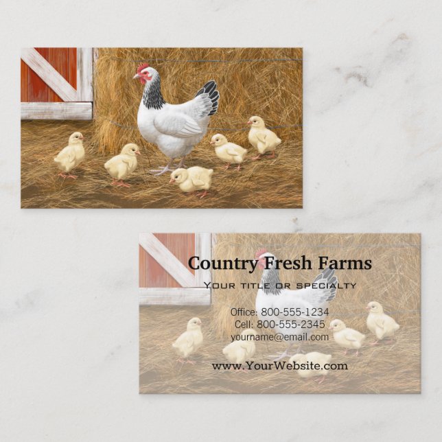 Carte De Visite Sussex Chicken Mama Hen et Chicks (Devant / Derrière)