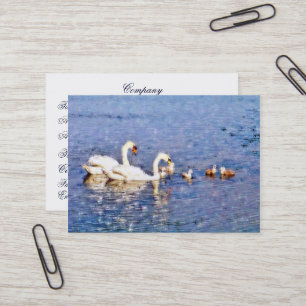 CARTE DE VISITE SWANS