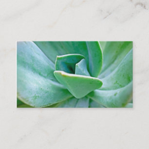 Carte De Visite Swirl Succulent